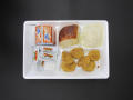 Physical Object: Student Lunch Tray: 01_20110217_01B5966