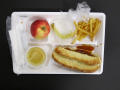Physical Object: Student Lunch Tray: 02_20110328_02A5605