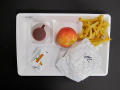 Physical Object: Student Lunch Tray: 02_20110328_02A5629