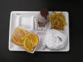Physical Object: Student Lunch Tray: 02_20110328_02A5675