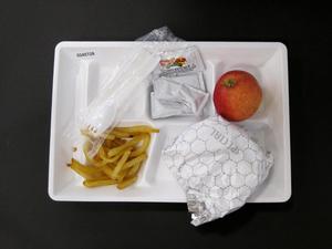 Primary view of object titled 'Student Lunch Tray: 02_20110328_02A5728'.