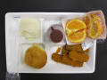 Physical Object: Student Lunch Tray: 02_20110328_02B6052