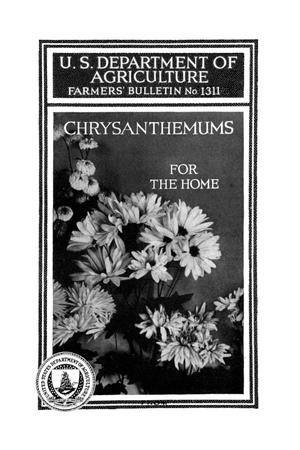 Primary view of object titled 'Chrysanthemums for the home.'.
