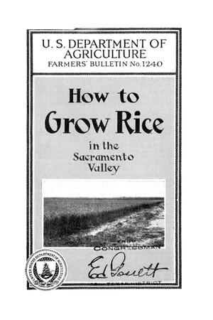 How to grow rice in the Sacramento Valley.
