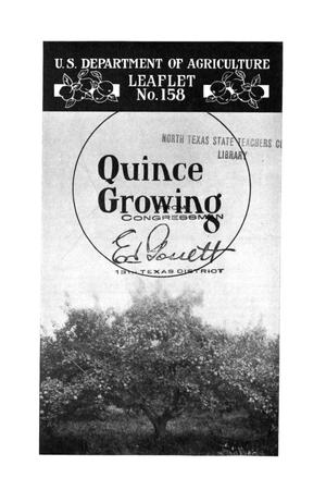 Primary view of object titled 'Quince Growing.'.