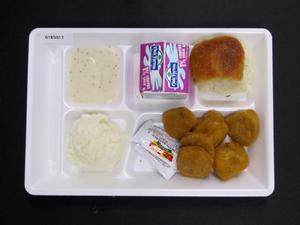 Student Lunch Tray: 01_20110330_01B5917