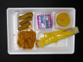 Physical Object: Student Lunch Tray: 01_20110330_01C5907