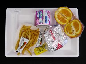 Primary view of object titled 'Student Lunch Tray: 01_20110401_01A5976'.