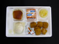Physical Object: Student Lunch Tray: 01_20110401_01B5981