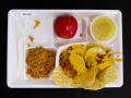Physical Object: Student Lunch Tray: 02_20110411_02C5843