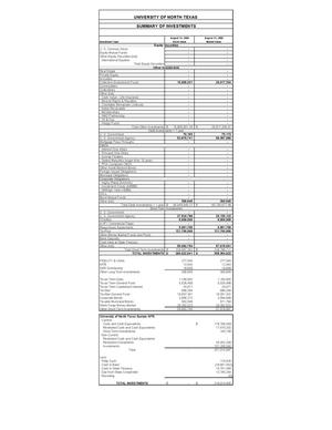 Primary view of object titled 'University of North Texas Summary of Investments, 2009'.
