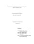 Thesis or Dissertation: The structure of insight in patients with psychosis.