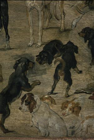 Animal Studies of Dogs