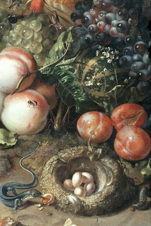 Still Life with Fruit and Animals