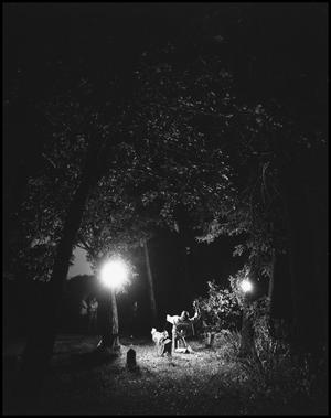 [Man kneeling on the ground with his dog in a cemetery, 2]