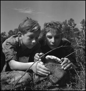 [Harry England and Otto Walker catching a lizard]