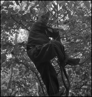 [Leon McGeorge climbing a tree]