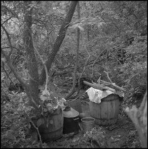 Primary view of object titled '[Camouflaging a moonshine distillery, 3]'.