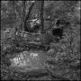 Photograph: [Distillery near a forest puddle, 2]