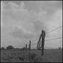 Photograph: [A barbed wire fence in a field]