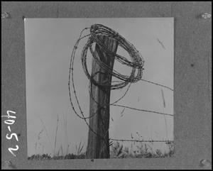 [Barbed wire fencing, 7]