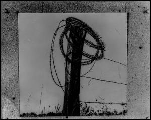 Primary view of object titled '[Barbed wire fencing, 3]'.
