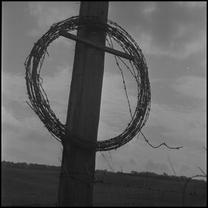 [Barbed wire coil hanging on timber pole]