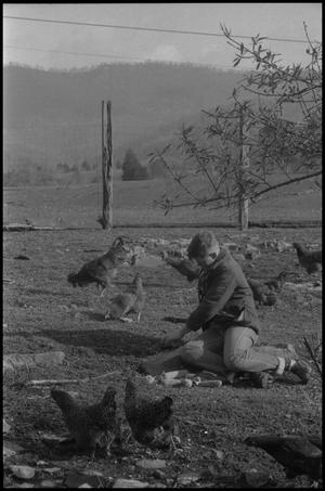 Primary view of [Photograph of a man feeding chickens, 1]