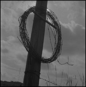 [Barbed wire coil hanging on timber pole, 4]