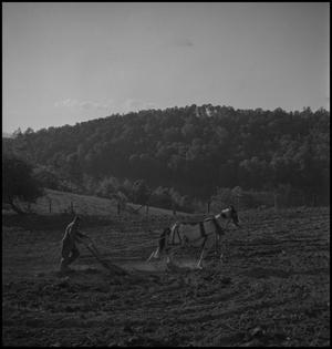 [Photograph of a man with his horse, plowing a field]