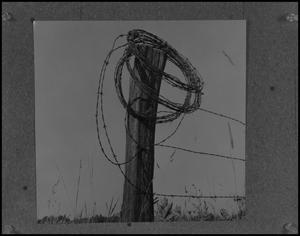 [Barbed wire fencing, 5]