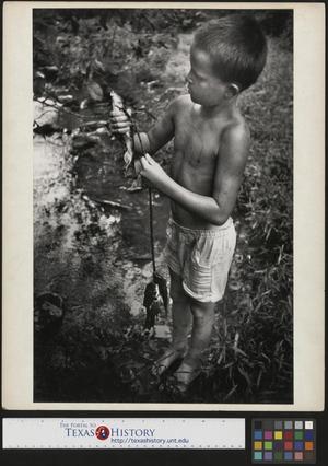 [Jimmy Powell stringing fish on a branch]