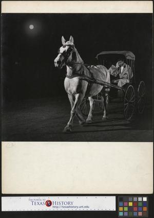 [Couple in Horse Drawn Carriage]