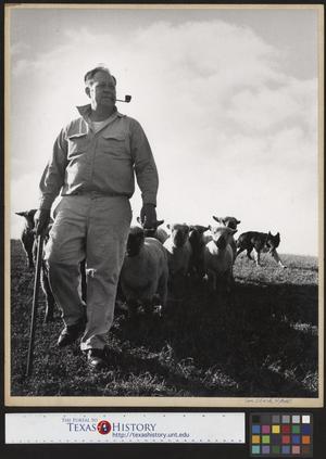 [John Drury. Sheep Farmer]