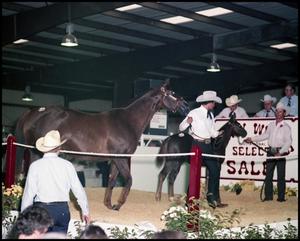 [Jerry Wells horse sale]