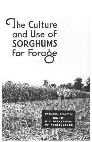 The culture and use of sorghums for forage.