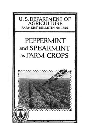 Peppermint and spearmint as farm crops.