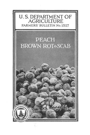 Peach brown rot and scab.