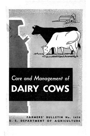 Care and management of dairy cows.