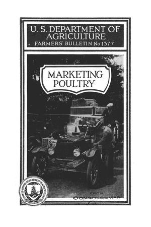 Marketing poultry.