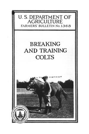 Breaking and Training Colts.