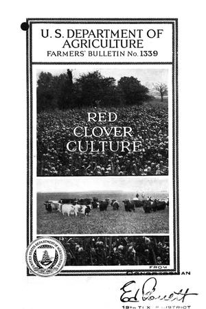 Red-clover culture.