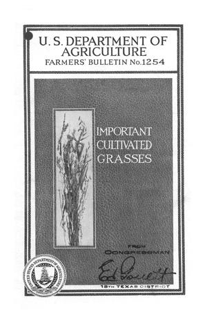 Important cultivated grasses.