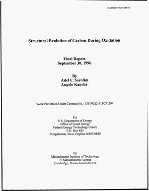 Structural Evolution of Carbon During Oxidation