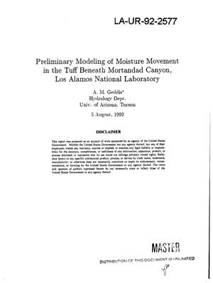Preliminary modeling of moisture movement in the tuff beneath Mortandad Canyon, Los Alamos National Laboratory