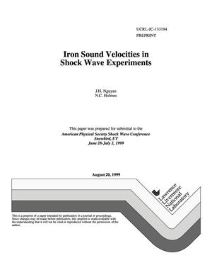 Iron sound velocities in shock wave experiments