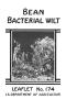 Book: Bean Bacterial Wilt.