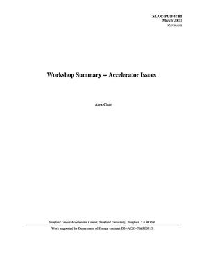 Workshop Summary -- Accelerator Issues