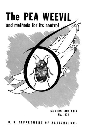 The pea weevil and methods for its control.