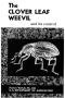 Primary view of The clover leaf weevil and its control.
